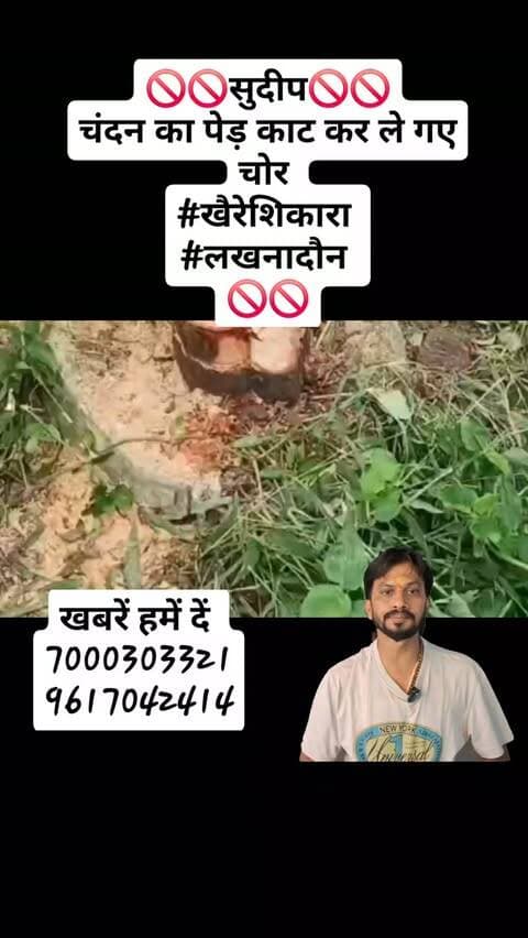🚫🚫सुदीप🚫🚫
चंदन का पेड़ काट कर ले गए चोर
#खैरेशिकारा
#लखनादौन
🚫🚫