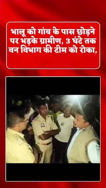 भालू को गांव के पास छोड़ने पर भड़के ग्रामीण, रातभर बवाल #angrypeople#animals#villager#forest#shorts