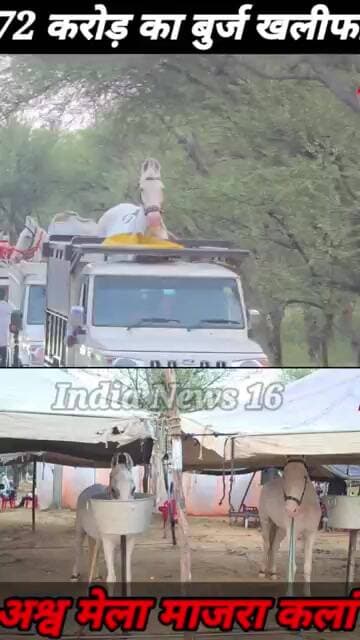 72 करोड़ का बुर्ज खलीफा! अश्व मेला माजरा कलां #ashvmela #horse_मेला #horses #Majra #mahendergarh