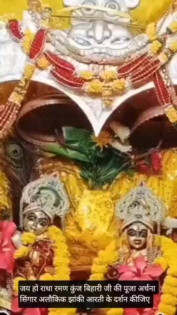 जय हों कुंज बिहारी जी की पूजा अर्चना सिंगार अलौकिक झांकी आरती के दर्शन कीजिए।