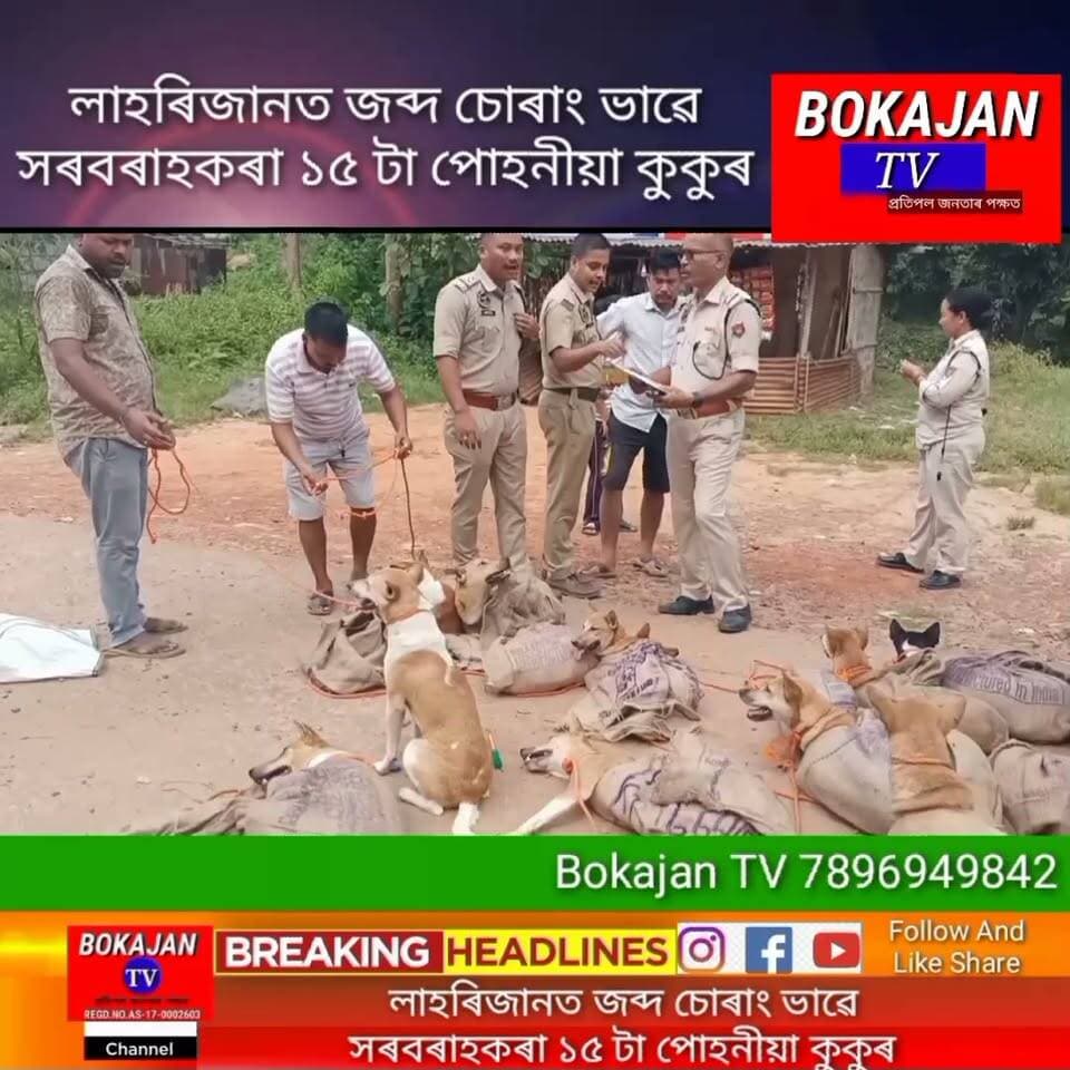লাহৰিজানত জব্দ চোৰাং ভাৱে সৰবৰাহকৰা ১৫ টা পোহনীয়া কুকুৰ