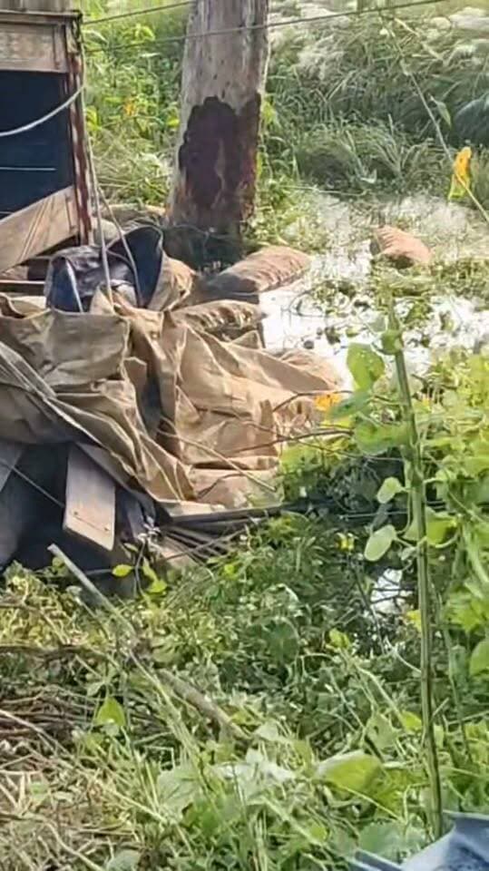 बकनिया यूनियन बैंक के बगल में महादेव यह ट्रक पलटा है जो की रात को पालटा था Priti Singh Vivek Singh Vicky त्रिलोकपुर गाँव गाज़ीपुर K TODAY न्यूज़ Afzal Ansari समर्थक सुनीता सिंह Reena Rajbhar शिफा टीवी गाज़ीपुर Ghazipur Police Hanuman Singh Suman Singh Balwantsingh Sikriwar Sheela Singh Atul Rai Gabbar Singh Amit Singh Amit Singh MMC News Ghazipur #GhazipurNews #nonfollowers