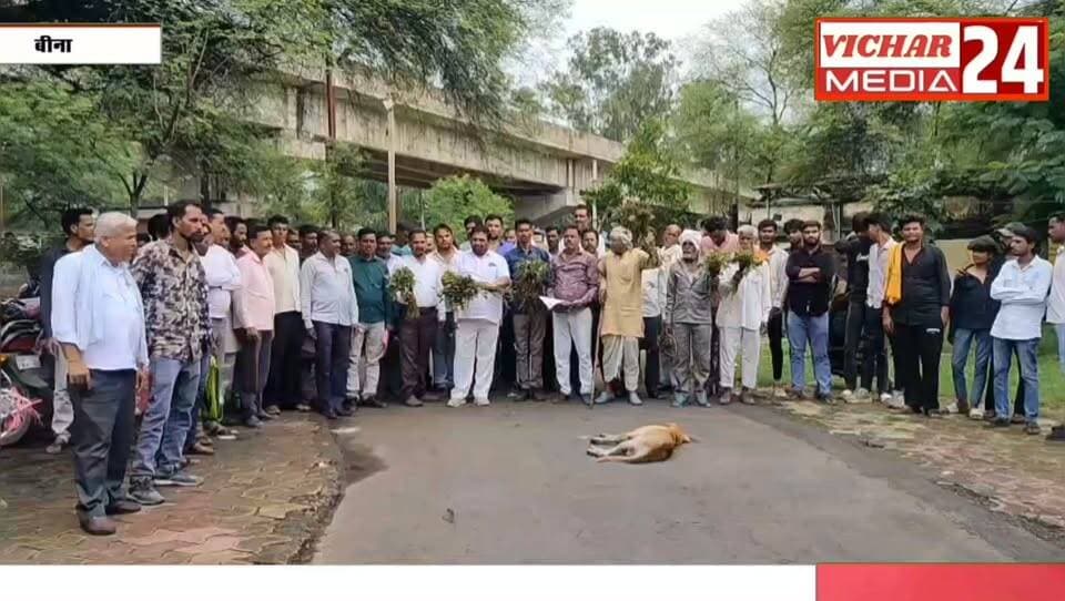 बारिश ने बिगाड़ा किसानों का गणित, अब मुआवजे की मांग #binanews #kisan #presani #gyapan