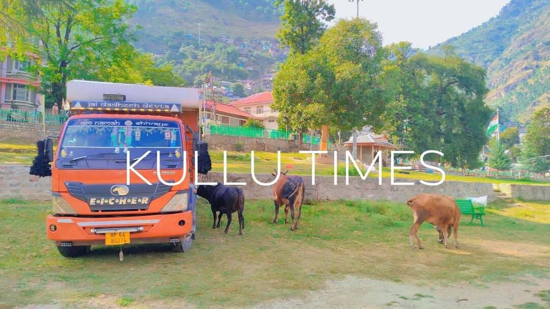 कुल्लू शहर को मिलेगी आवारा पशुओं से निजात
नगर परिषद, जिला प्रशासन और पशु पालन विभाग का सफल प्रयास
Kullu Times
नगर परिषद, जिला प्रशासन और पशु पालन विभाग के संयुक्त प्रयास से अब कुल्लू शहर में लोगों को आवारा पशुओं से निजात मिल जाएगी, आज कुल्लू शहर से पहले चरण में ढालपुर मैदान से कुछ आवारा पशुओं को नंदी शाला हांडा कुंडी तहसील बद्दी सोलन हिमाचल के लिए रवाना कर दिया है, सेगा एन जी ओ द्वारा संचालित नंदी शाला में इन आवारा पशुओं को रखा जाएगा, प्रशासन एवं नगर परिषद जहाँ अब अंतराष्ट्रीय दशहरा उत्सव की तयारियों में जुट गई है वहीं शहर में आवारा पशुओं से आए दिन घटनाओं के मामले को देखते इन आवारा पशुओं को यहाँ से सुरक्षित सोलन नंदी शाला शिफ्ट करने का कार्य भी ज़ोरों से शुरू कर दिया गया है ताकि शहर को इन आवारा पशुओं से निजात मिल सके।