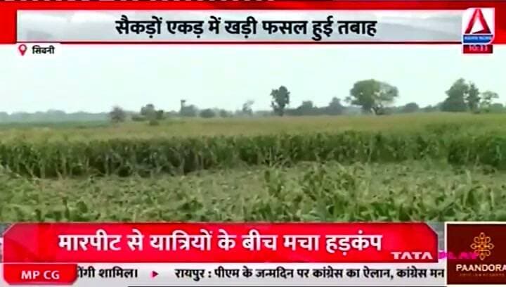 *तूफान ने मचाई तबाही, सैकड़ों एकड़ मक्के की फसल चौपट!*
*दाने आने के बाद तबाह हुई मक्का फसल, मुआवजे की उठी मांग!*
👇
*Asian News Seoni*
✍️ बालमुकुंद सिंह
जिला ब्यूरो सिवनी
7000287855
9584420065