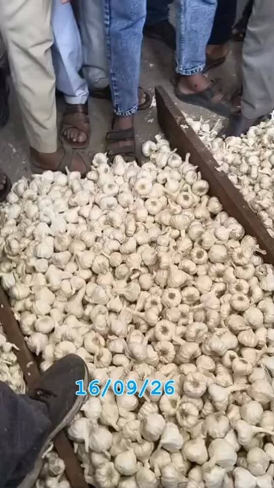 #viralreels #viralreelsvideo #trending #reelkarofeelkaro #mandibhavkalapipal