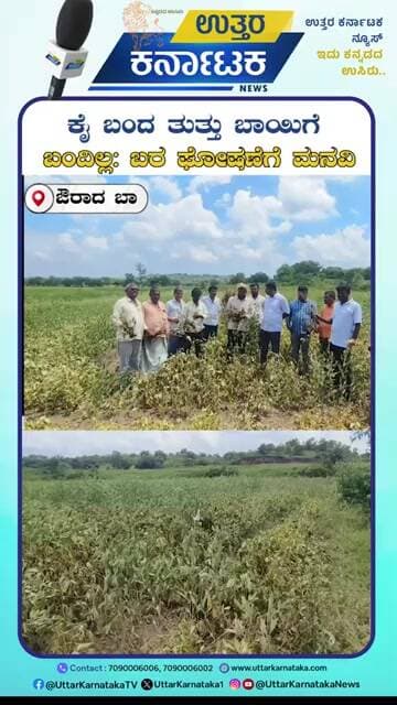 Aurad | ಕೈ ಬಂದ ತುತ್ತು ಬಾಯಿಗೆ ಬಂದಿಲ್ಲ: ಬರ ಘೋಷಣೆಗೆ ಮನವಿ | Uttar Karnataka News