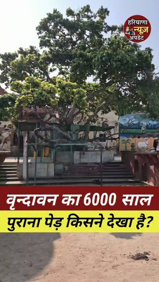 #Vrindavan рдХрд╛ 6000 рд╕рд╛рд▓ рдкреБрд░рд╛рдирд╛ рдкреЗрдбрд╝ рдХреНрдпрд╛ рдЖрдкрдиреЗ рдХрд┐рдП рд╣реИрдВ рджрд░реНрд╢рди?
#vrindavandham