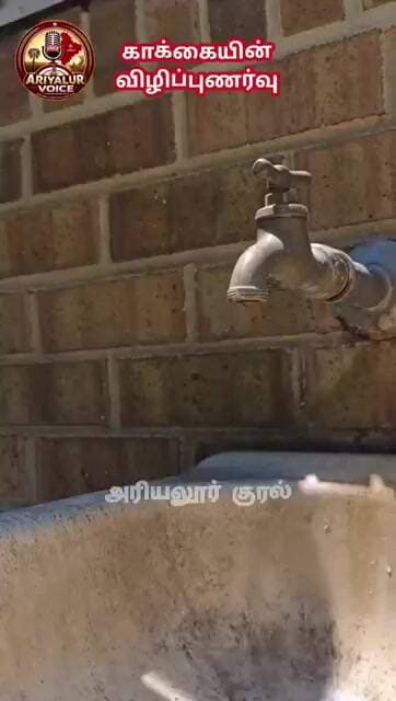 மனிதருக்கான காக்கையின் குடிநீர் பாடம்....
