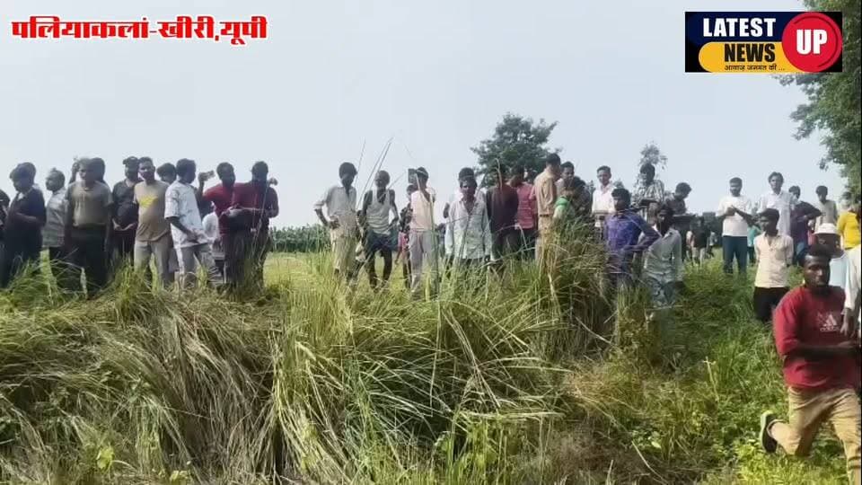 मछली पकड़ने गए ग्रामीण को पानी में खींच ले गया मगरमच्छ,मौत
#paliakalankheri
#lakhimpurkherinews
#UPNews
#LatestNews
#dmkheri
#paliapolice