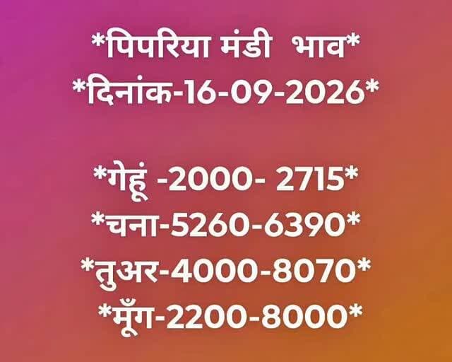 Pipariya mandi bhav 16/09/2026 #viral #mandi #pipariya #insta