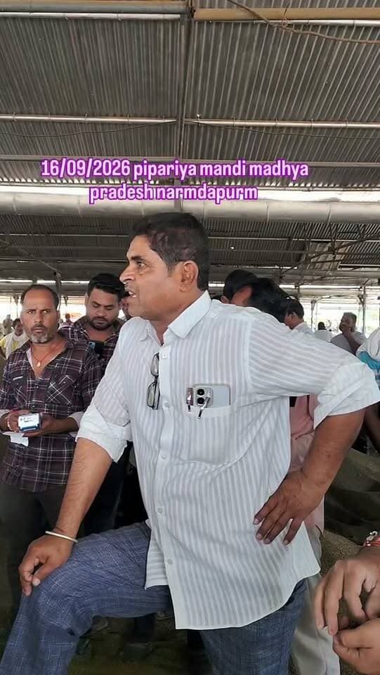 Pipariya mandi #viral #mandi #moong #pipariya