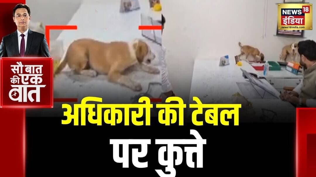Kishore Ajwani: Nashik में Shiv Sena नेताओं का Protest! नगर पंचायत दफ्तर में छोड़े आवारा कुत्ते