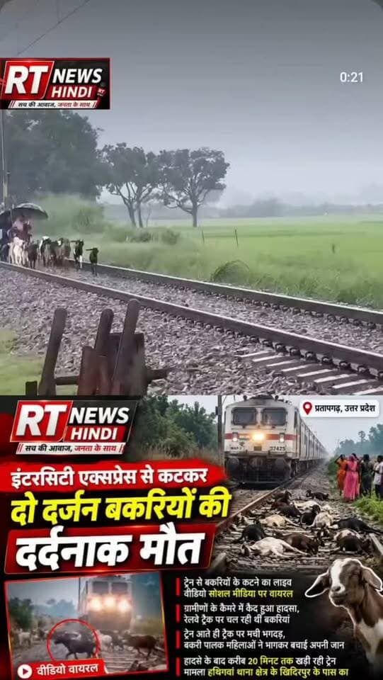 🚨 प्रतापगढ़ में दर्दनाक हादसा: इंटरसिटी एक्सप्रेस की चपेट में आईं दर्जनों बकरियां
प्रतापगढ़। हथिगवां थाना क्षेत्र के खिदिरपुर के पास बुधवार सुबह रेलवे ट्रैक पर दर्दनाक हादसा हो गया। लखनऊ से प्रयागराज जा रही इंटरसिटी एक्सप्रेस की चपेट में आने से करीब 30 से 35 बकरियों की मौत हो गई। �
Amrit Vichar
बताया जा रहा है कि बकरियां रेलवे ट्रैक के आसपास चर रही थीं और अचानक ट्रैक पर पहुंच गईं। ट्रेन को आता देख वहां मौजूद महिलाओं ने बकरियों को हटाने की कोशिश की, लेकिन समय कम होने के कारण कई बकरियां ट्रैक से नहीं हट सकीं। महिलाएं किसी तरह ट्रैक से दूर हटकर अपनी जान बचाने में सफल रहीं। �
Janta Serishta
हादसे के बाद मौके पर ग्रामीणों की भीड़ जुट गई। सूचना मिलने पर रेलवे सुरक्षा बल की टीम मौके पर पहुंची और ट्रैक से बकरियों को हटवाकर स्थिति सामान्य कराई। हादसे का वीडियो भी सोशल मीडिया पर वायरल हो रहा है। �
Amrit Vichar
📍 स्थान: खिदिरपुर, हथिगवां, प्रतापगढ़
🚆 घटना: इंटरसिटी एक्सप्र�
