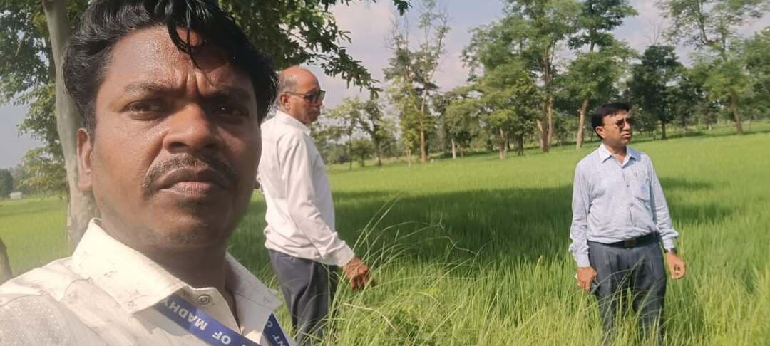 #बालाघाट
माहू के प्रकोप को लेकर कृषि विभाग ने विभिन्न ग्रामों में किया फसलों का निरीक्षण
किरनापुर क्षेत्र में किसानों को कीट नियंत्रण एवं फसल सुरक्षा की दी गई जानकारी
धान की फसल में माहू के प्रकोप की स्थिति को देखते हुए कृषि विभाग सतर्क हो गया है। प्रभावित क्षेत्रों में फसलों की स्थिति का जायजा लेने के लिए कृषि विभाग के मैदानी अमले द्वारा लगातार खेतों का निरीक्षण किया जा रहा है। इसी क्रम में किरनापुर क्षेत्र के विभिन्न ग्रामों में पहुंचकर धान की फसल की स्थिति का जायजा लिया गया।
उप संचालक कृषि बालाघाट फूलसिंह मालवीय, अनुविभागीय कृषि अधिकारी राजेश कुमार खोबरागड़े एवं वरिष्ठ कृषि विकास अधिकारी संजय कुमार उके के निर्देश पर कृषि विस्तार अधिकारी धर्मेंद्र कुमार बोरकर एवं गांधी घोरमारे ने ग्राम बिनोरा, कोकना, जामडी और पानगांव का भ्रमण किया। अधिकारियों ने किसानों के खेतों में पहुंचकर धान की फसल का निरीक्षण किया तथा माहू के प्रकोप की स्थिति की जानकारी ली।
निरीक्षण के दौरान किसानों से फसल की वर्तमान स्थिति की जानकारी ली गई और माहू के नियंत्रण एवं फसल सुरक्षा को लेकर आवश्यक कृषि तकनीकी मार्गदर्शन दिया गया। कृषि विभाग के अधिकारियों ने किसानों से फसलों की नियमित निगरानी करने तथा कीट प्रकोप दिखाई देने पर तत्काल मैदानी अमले से संपर्क करने की अपील की, ताकि समय रहते आवश्यक उपाय किए जा सकें।
कृषि विभाग द्वारा किसानों को भूरा माहू के नियंत्रण के लिए पाइमेट्रोजिन 15 प्रतिशत + डायनोटेफ्यूरॉन 45 डब्ल्यूजी, पाइमेट्रोजिन 50 डब्ल्यूजी, फेनमेजोडिटियाज या ट्रिफ्लुमेजोपाइरिम जैसे अनुशंसित कीटनाशकों के उपयोग की सलाह दी गई। साथ ही शीथ ब्लाइट के नियंत्रण के लिए हेक्साकोनाजोल + वैलिडामाइसिन अथवा टेबुकोनाजोल 50 प्रतिशत + ट्राइफ्लॉक्सीस्ट्रोबिन 25 प्रतिशत के उपयोग की सलाह दी गई। कृषि विभाग के मैदानी अमले ने किसानों को धान की फसल में यूरिया का आवश्यकता से अधिक प्रयोग नहीं करने की सलाह दी। साथ ही विभाग द्वारा बताए गए उपायों के अनुसार ही फसल प्रबंधन करने के लिए किसानों को जागरूक किया गया।
क्षेत्र में किसान चौपाल आयोजित कर किसानों को कृषि आदानों की खरीदारी के संबंध में भी जागरूक किया गया। किसानों से अपील की गई कि कृषि केंद्र से दवाई खरीदते समय उत्पाद के क्यूआर कोड को स्कैन कर उसकी जानकारी की पुष्टि करने के बाद ही दवा खरीदें।
निरीक्षण के दौरान ग्राम पंचायत बिनोरा के कृषक नरेंद्र कुमार हाथीमारे, उमाशंकर हाथीमारे, प्रेम हाथीमारे सहित अन्य किसानों के खेतों में लगी DSR पद्धति से बोई गई धान की फसल का भी निरीक्षण किया गया। कृषि विभाग द्वारा क्षेत्र की फसलों की स्थिति पर लगातार नजर रखी जा रही है और आवश्यकता के अनुसार किसानों को तकनीकी मार्गदर्शन उपलब्ध कराया जा रहा है।
#CMMadhyaPradesh #JansamparkMP #welfaretribal
#minmpkrishi