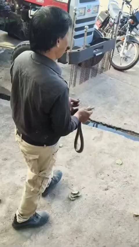 🐍 चित्तौड़गढ़ में फिर हुआ धामन सांप का सुरक्षित रेस्क्यू! 🌿
चामुंडा खेड़ा से आज दिन में और धनेत कला से आज शाम धामन सांप का रेस्क्यू किया गया। सर्प प्रेमी रमेश चंद्र धनेतकलां ने दोनों सांपों को सुरक्षित रेस्क्यू कर लोगों को राहत दी।
🐍 सांपों को नुकसान पहुंचाने के बजाय सुरक्षित रेस्क्यू करें।
📍 चामुंडा खेड़ा | धनेत कला
📸 Hello Chittorgarh
ऐसी ही स्थानीय खबरों के लिए Hello Chittorgarh को फॉलो करना न भूलें।