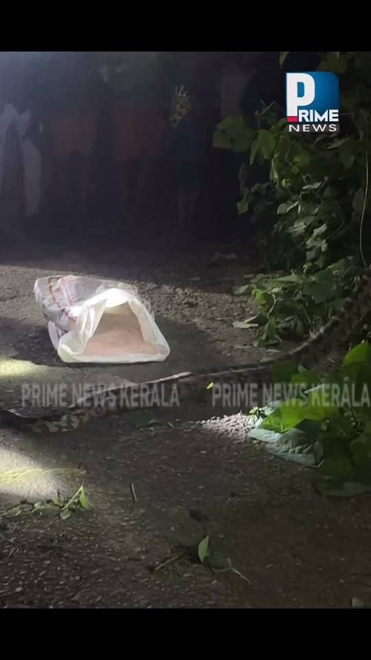 പന്തളം മങ്ങാരം ചുടലക്ക് സമീപത്ത് നിന്നും പെരുമ്പാമ്പിനെ പിടികൂടി....
