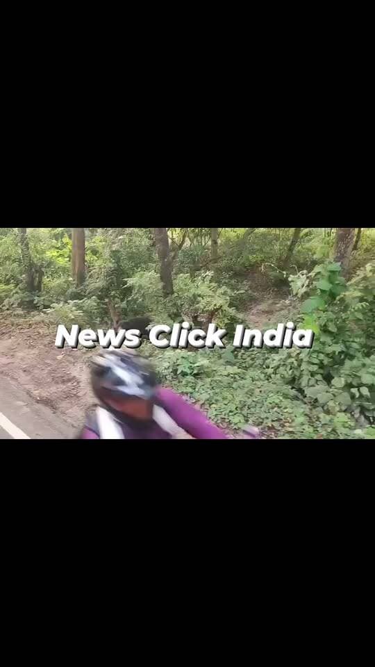भालू दुधवा-गौरीफंटा मार्ग के किनारे आ पहुंचा. सड़क पर भालू को देखकर वहां से गुजर रहे लोगों ने अपने वाहन रोक लिए और उसे मोबाइल कैमरों में कैद करने लगे.
#भालू #दुधवा_नेशनल_पार्क #गौरीफंटा #लखीमपुर_खीरी #वन्यजीव #भालू_का_वीडियो #Dudhwa #Gauriphanta #Wildlife #Bear #LakhimpurKheri #ViralVideo #ForestDepartment