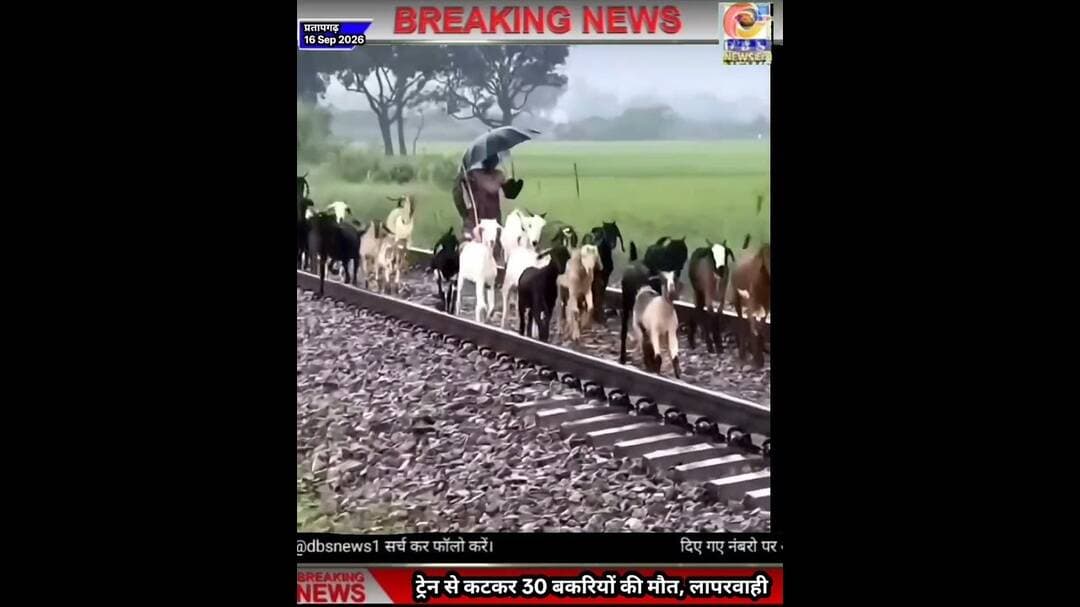 लापरवाही: ट्रैन से कटकर 30 बकरियों की मौत, 3 महिलाएं बाल-बाल बची #प्रतापगढ़