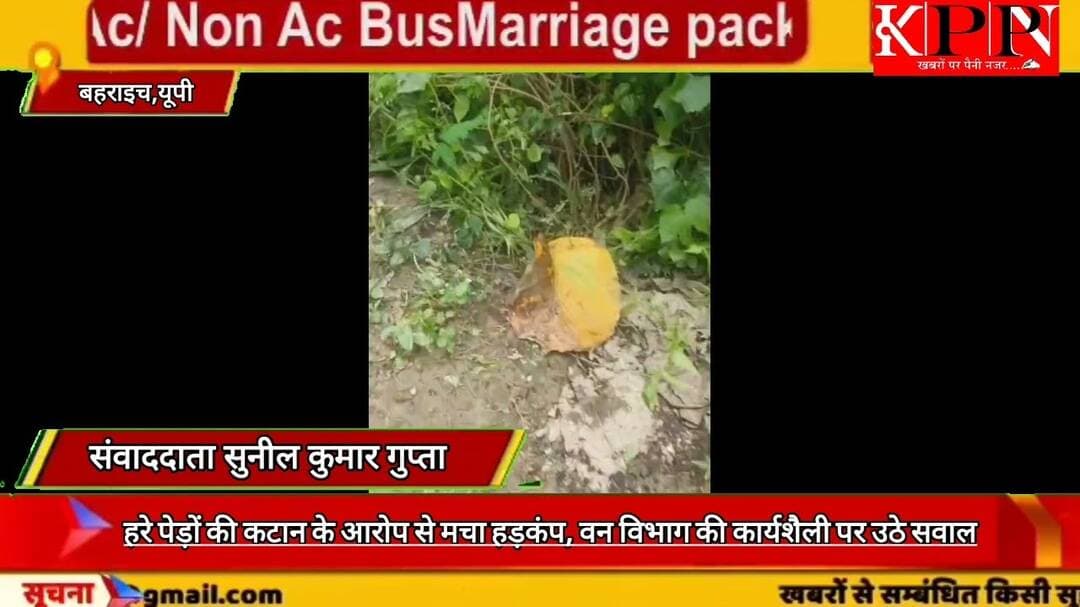 हरे पेड़ों की कटान के आरोप से मचा हड़कंप, वन विभाग की कार्यशैली पर उठे सवाल