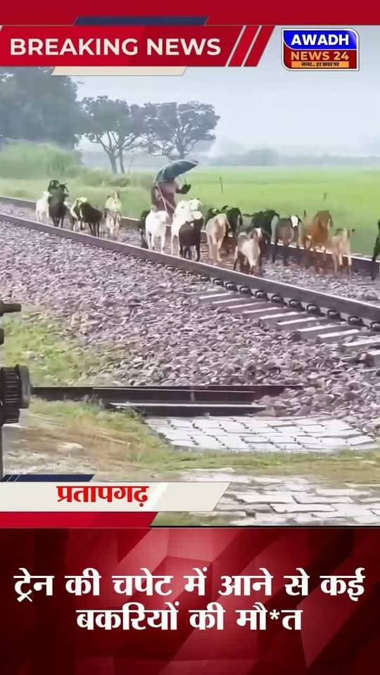 ट्रेन की चपेट में आने से कई बकरियों की मौ*त, बाल-बाल बचीं महिलाएं
कुंडा/प्रतापगढ़: प्रयागराज–लखनऊ रेलवे लाइन पर खिदिरपुर के पास बुधवार को बड़ा हादसा हो गया। रेलवे ट्रैक पार कर रही कई बकरियां ट्रेन की चपेट में आ गईं, जिससे उनकी मौके पर ही मौ*त हो गई। इसी दौरान आसपास मौजूद महिलाएं बाल-बाल बच गईं।
घटना के बाद मौके पर अफरा-तफरी मच गई। हादसे की सूचना संबंधित अधिकारियों को दी गई है।
#reelsviralシ #reelsviral #reelsvideo #viralreelsシ #viralreels #viral #accident #goats #trains Awadh News24