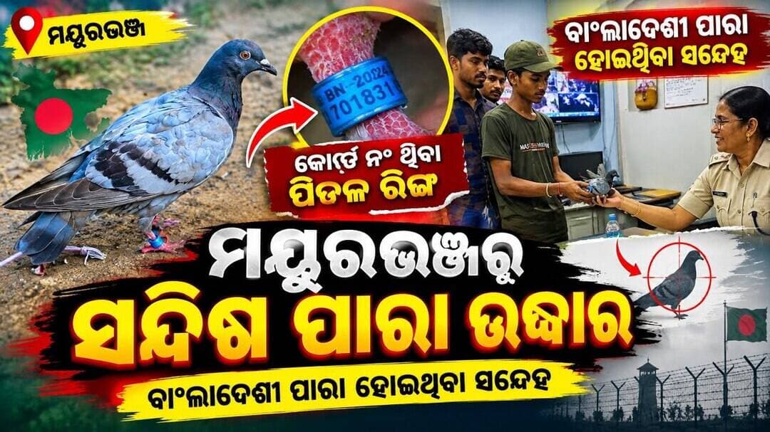 ମୟୂରଭଞ୍ଜରେ ‘କୋଡ୍ଧାରୀ’ ପାରା, ତଦନ୍ତରେ ପୋଲିସ ଓ ବନବିଭାଗ l #abhayanews #viralvideo #viral