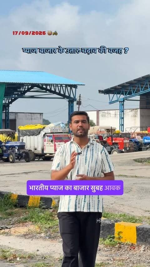 प्याज बाजार में तेजी और मंदी का कारण, कैसा खुला है बाजार 🧅🚜 Today onion market update, onion arrival and rates ℹ️