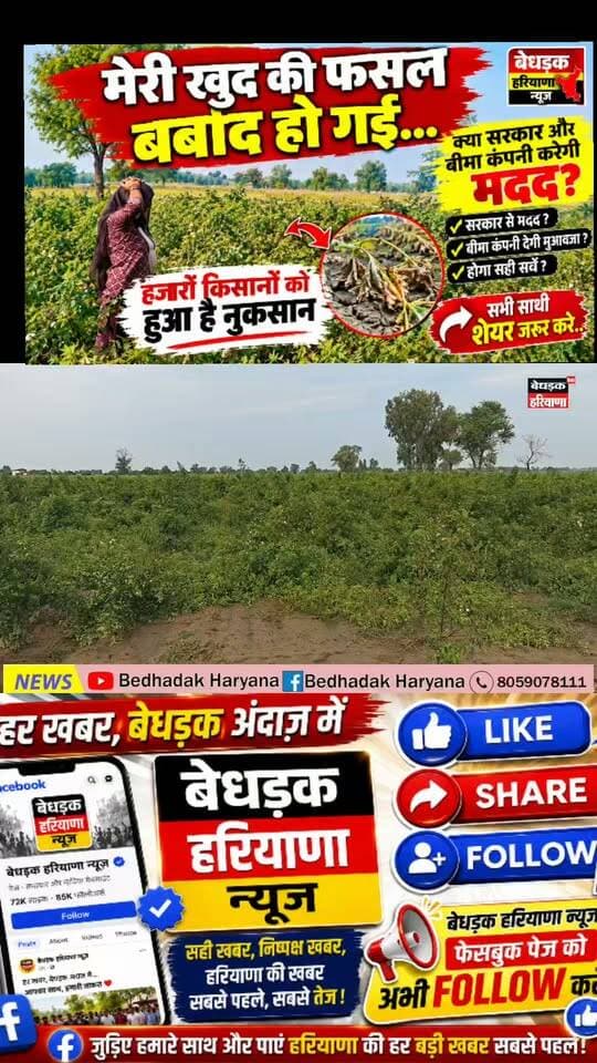 🌾 मेरी खुद की फसल बर्बाद हो गई… अब सरकार और बीमा कंपनी करेगी मदद?
मेरी तरह हजारों किसानों की फसल को भारी नुकसान हुआ है। किसान ने पूरी मेहनत और उम्मीद के साथ फसल तैयार की थी, लेकिन प्राकृतिक आपदा ने सब कुछ बर्बाद कर दिया।
अब सबसे बड़ा सवाल है—
👉 क्या सरकार किसानों को उचित मुआवजा देगी?
👉 क्या फसल बीमा कंपनी नुकसान की भरपाई करेगी?
👉 क्या खेतों में हुए नुकसान का सही सर्वे होगा?
मैं अपनी फसल के नुकसान की आवाज उठा रहा हूं। अगर आपके गांव या आसपास भी किसानों की फसल बर्बाद हुई है, तो इस पोस्ट को ज्यादा से ज्यादा शेयर करें, ताकि किसानों की आवाज जिम्मेदार अधिकारियों और सरकार तक पहुंचे। 🙏🌾
किसान की मेहनत का सम्मान हो, नुकसान का उचित मुआवजा मिले।
#किसान #फसलनुकसान #किसान_की_आवाज #फसलबीमा #मुआवजा #किसान_मुआवजा #हरियाणा_किसान #किसानों_की_आवाज