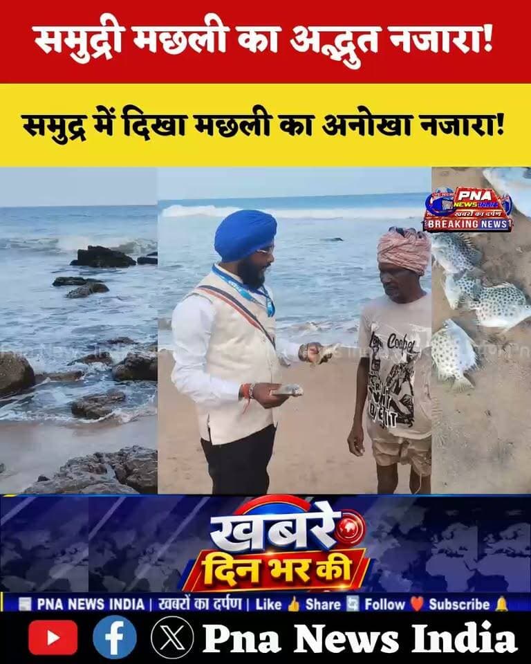 समुद्र में दिखा मछली का अनोखा नजारा! 🐟🌊