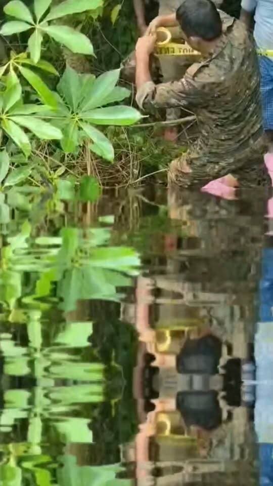 बेगूसराय के लाखों थाना क्षेत्र में लड़की की हत्या करके लाश को फेंक जंगल में लड़की की अभी तक नहीं हुई पहचान