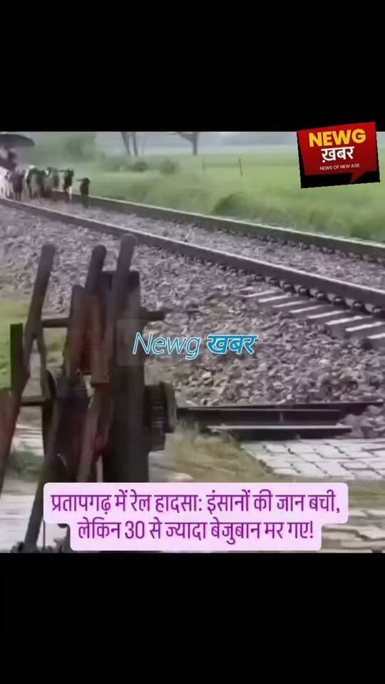 प्रतापगढ़ में ट्रेन के नीचे आए 30 पालतू पशु