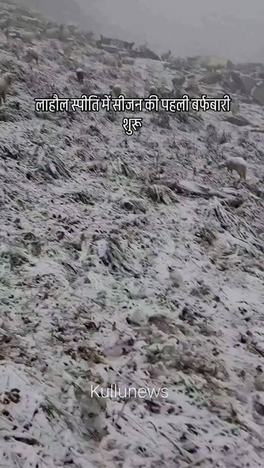 लाहौल स्पीति में आज 17सितंबर को सीजन की पहली बर्फबारी हुई इस समय जितने भी भेड़ पालक जो अभी भी रोहतांग में है वह प्रशासन से गुहार लगा रहे हैं कि जिन-जिन लोगों के फोन के सिग्नल इस समय नहीं मिल रहे हैं कृपया करके उनका रेस्क्यू किया जाए 🙏
#manalinews #manaliwassi #manaliupdate #manalı #kullumanlinews
Lahaul and Spiti Police
🇮🇳Anuradha Rana🇮🇳
Kullu Police | Himachal Pradesh