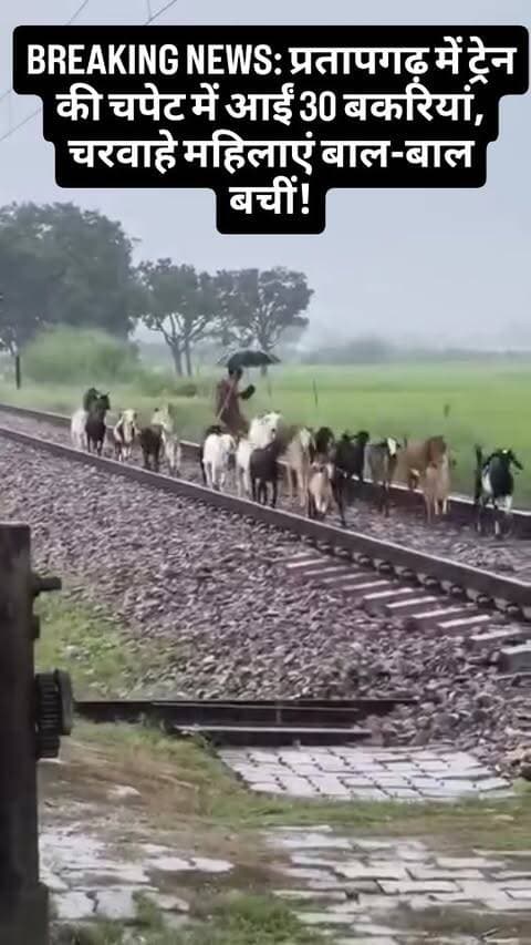 BREAKING NEWS: प्रतापगढ़ में ट्रेन की चपेट में आईं 30 बकरियां, चरवाहे महिलाएं बाल-बाल बचीं!
#BreakingNews #Pratapgarh #TrainAccident #GoatAccident #ViralVideo UPNews LatestNews HindiNews NewsUpdate