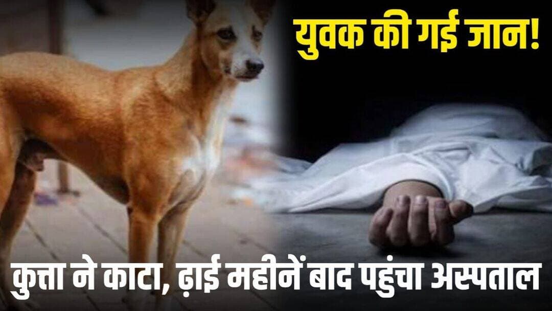 सरगुजा के युवक को ढाई महीने पहले कुत्ते ने काटा झाड़-फूंक में बीतता रहा वक्त, फिर डराने लगे पानी और हवा से आखिरकार युवक की मौत, कमेंट बॉक्स में पढ़े पूरी खबर
<nis:link nis:type=tag nis:id=chhattisgarh nis:value=chhattisgarh nis:enabled=true nis:link/>