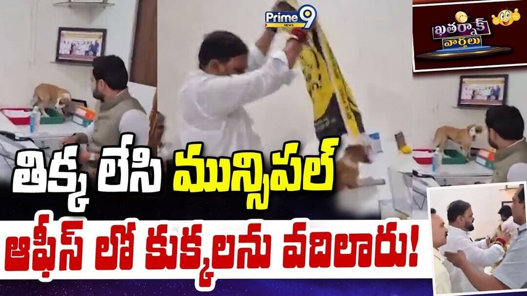 KHATARNAK VARTHALU : తిక్క లేసి మున్సిపల్ ఆఫీస్ లో కుక్కలను వదిలారు! | Viral NEWS | Prime9 News
