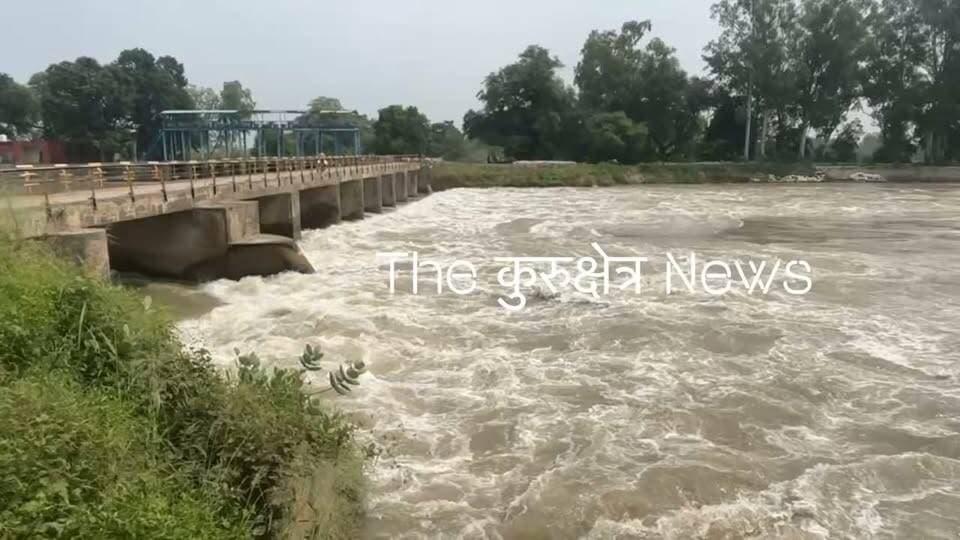 इंद्री के गाँव धनौरा जागीर के नजदीक से निकलती नहर का खतरनाक दृश्य
Nayab SainiiKurukshetra University Kurukshetraa #karnal #indri #kurukshetra #haryana