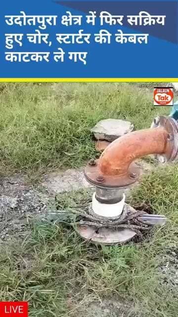 jalaun khet se kebil hui chori