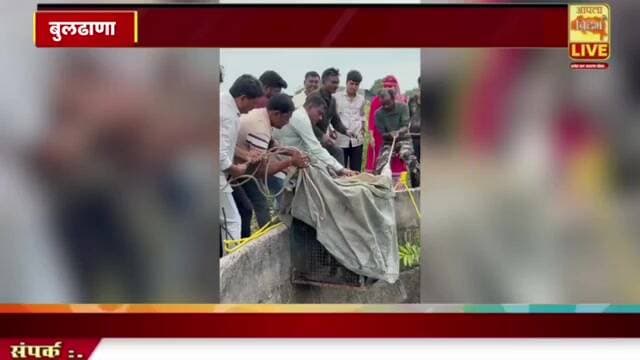 🔴विहिरीत अडकला बिबट्या… पिंजऱ्यात आला अन् क्षणात सटकला! 🐆😱 वैरागडमध्ये रेस्क्यूदरम्यान थरार #viral