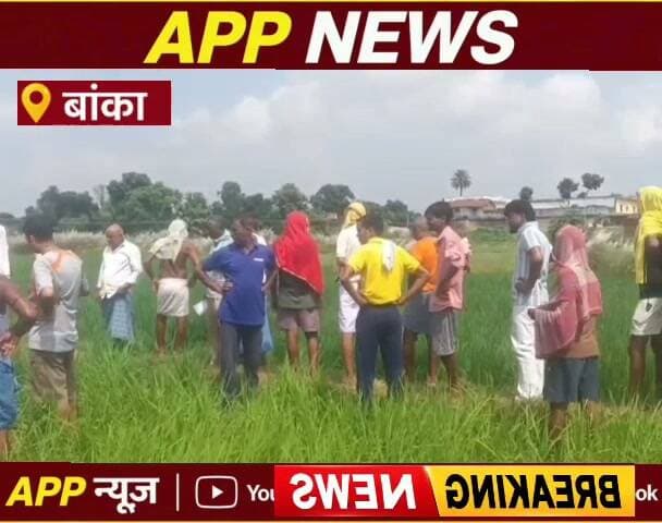 बांका जिले के शंभूगंज में वज्रपात से घास काटने गए युवक की हुई मौत ,गुरुवार को हुई जानकारी, परिजनों में मचा कोहराम। #Banka #bihar #Biharsarkar #CrimeNews #indian #CMBihar #CMOBihar #bhagalpur #RjdBihar #RJD #jansuraj #BJPGovernment #hightlight #cantante #jantar #facebookreelsviral #NewsUpdate #PMOIndia