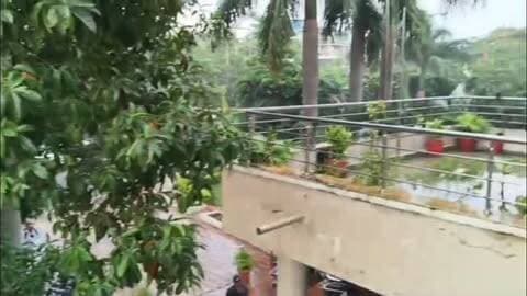 भोपाल में बदला मौसम, तेज हवा के साथ झमाझम बारिश
प्रदीप चौधरी। भोपाल में गुरुवार शाम अचानक मौसम ने करवट ली। तेज हवाओं के साथ झमाझम बारिश शुरू हो गई। बारिश के बाद शहरवासियों को गर्मी और उमस से राहत मिली।
भोपाल | मौसम अपडेट
#Bhopal #BhopalWeather #Rain #MadhyaPradesh #WeatherUpdate