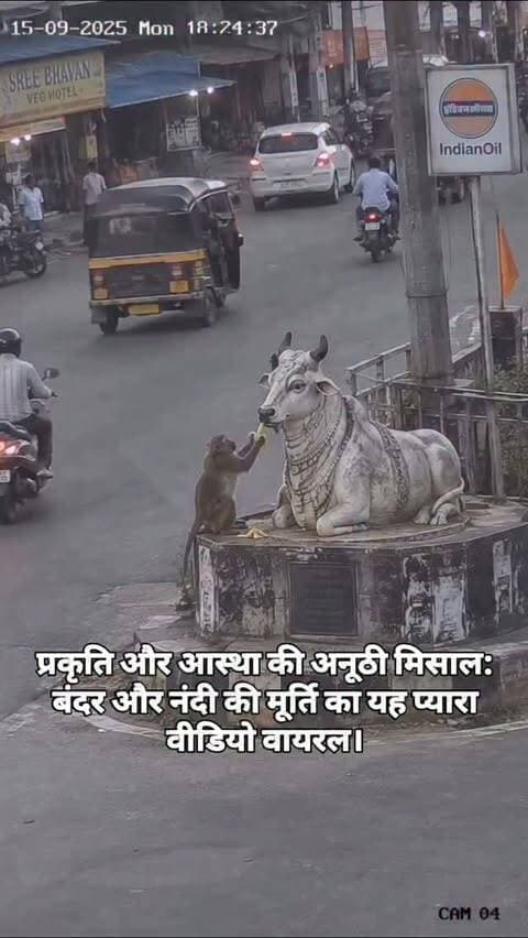 प्रकृति और आस्था की अनूठी मिसाल: बंदर और नंदी की मूर्ति का यह प्यारा वीडियो वायरल।
