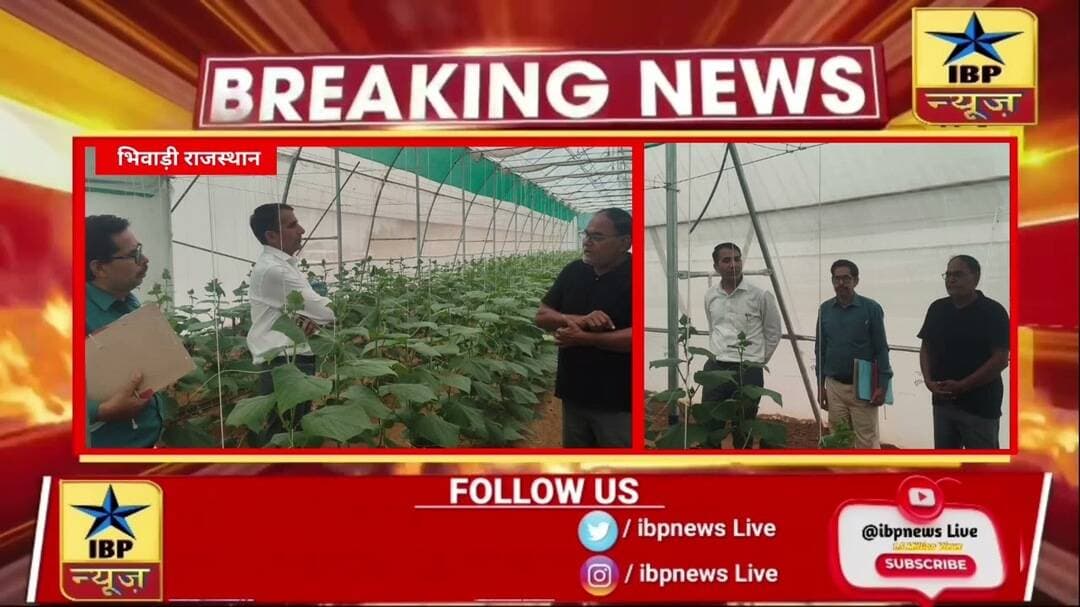 Bhiwadi पॉलीहाउस खेती का निरीक्षण करने पहुंचे ADM शिवपाल जाट किसानों को आधुनिक खेती अपनाने की दी...?
