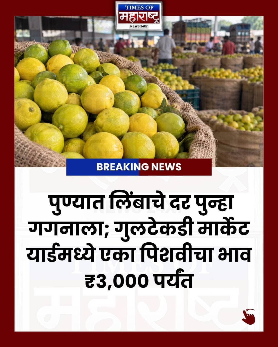 🍋 पुण्यात लिंबाचे दर पुन्हा गगनाला!
गुलटेकडी मार्केट यार्डमध्ये लिंबाच्या दरात मोठी वाढ झाली असून, एका पिशवीचा घाऊक दर तब्बल ₹३,००० पर्यंत पोहोचला आहे.
सोलापूर आणि अहिल्यानगरमधून होणारी लिंबाची आवक मोठ्या प्रमाणात घटली आहे. नेहमी १,२०० ते १,५०० पिशव्यांची दररोज आवक होत असताना सध्या ती सुमारे ६०० पिशव्यांवर आली आहे.
हंगामाच्या सुरुवातीला झालेल्या अकाली तोडणीमुळे सध्याच्या उत्पादनावर परिणाम झाला असून, त्याचा थेट परिणाम बाजारभावावर झाला आहे.
📈 किरकोळ बाजारात आता एका लिंबासाठी ₹८ ते ₹१० मोजावे लागत आहेत.
गणेशोत्सव तोंडावर असल्याने हॉटेल व्यावसायिक, खाद्यपदार्थ विक्रेते, स्टॉलधारक आणि लोणचे प्रक्रिया उद्योगांवर या दरवाढीचा अतिरिक्त आर्थिक भार पडत आहे.
👉 लिंबाचे दर आणखी वाढणार का?
तुमच्या भागात लिंबाचा सध्याचा भाव किती आहे? कमेंटमध्ये सांगा.
📍 पुणे | गुलटेकडी मार्केट यार्ड
Follow Times of Maharashtra News for latest Maharashtra & Pune news. 📰
#Pune #PuneNews #PuneMarketYard #GultekdiMarketYard #LemonPrice #LemonPrices #LemonPriceHike #LemonRate #PuneMarket #MaharashtraNews #PuneUpdates #PuneLive #MarketYard #लिंबू #लिंबाचेभाव #लिंबाचेदर #पुणे #पुणेबातम्या #मार्केटयार्ड #गुलटेकडी #महाराष्ट्रबातम्या #बाजारभाव #गणेशोत्सव #TimesOfMaharashtra
