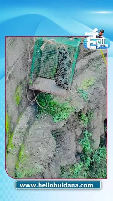 BREAKING भयंकरच! वैरागडमध्ये ‘पळा-पळा’! बिबट्या पिंजऱ्यात आला अन् वर काढताना क्षणात सटकला!