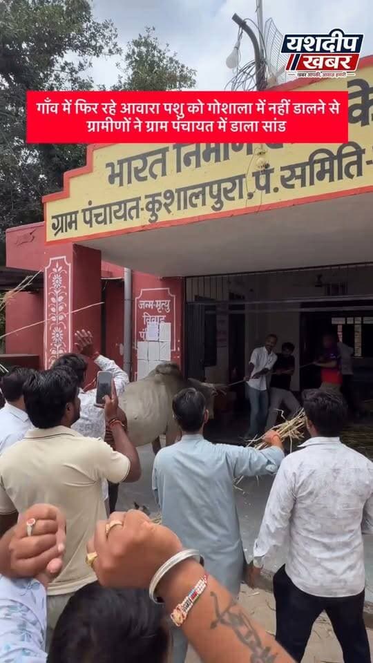 ग्राम पंचायत कुशालपुरा में ग्रामीणों का अनोखा विरोध
आवारा सांडों की समस्या से परेशान ग्रामीणों ने एक आवारा सांड को पकड़कर ग्राम पंचायत कुशालपुरा के परिसर में छोड़ दिया। ग्रामीणों का कहना है कि आवारा पशुओं के कारण आए दिन लोगों को परेशानी का सामना करना पड़ रहा है। अब समय आ गया है कि ग्राम पंचायत इस समस्या का स्थायी समाधान करे। ग्रामीणों की मांग- आवारा पशुओं की समस्या का जल्द समाधान किया जाए। ग्राम पंचायत कुशालपुरा से जवाब और कार्रवाई की उम्मीद।
#कुशालपुरा #ग्रामपंचायत_कुशालपुरा #ग्रामीणों_का_विरोध #आवारा_सांड #आवारा_पशु #पशु_समस्या #ग्रामीणों_की_मांग #पंचायत_प्रशासन #स्थायी_समाधान #जनसमस्या #ग्रामीण_विरोध #राजस्थान_समाचार #स्थानीय_समाचार #यशदीप_खबर