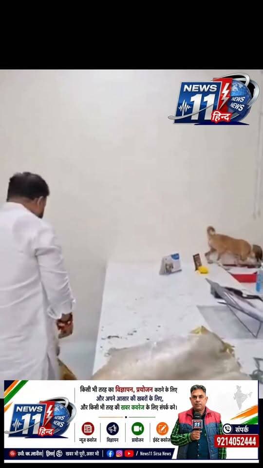 महाराष्ट्र के नासिक में अवारा कुत्तों का अनोखा विरोध. यहा एक शिवसेना (यूबीटी) नेता बोरी में कुत्ते लेकर नगर पंचायत अधिकारी के दफ्तर पहुंचे. इसके बाद उन्होंन इन कुत्तों को अधिकारी के टेबल पर छोड़ दिया. पब्लिक आवारा कुत्तों से परेशान है बार-बार कहने के बावजूद प्रशासन ने ध्यान नहीं दिया अंत में इन्होंने ऐसा किया #viral #trendingnow #news #maharashtra #india