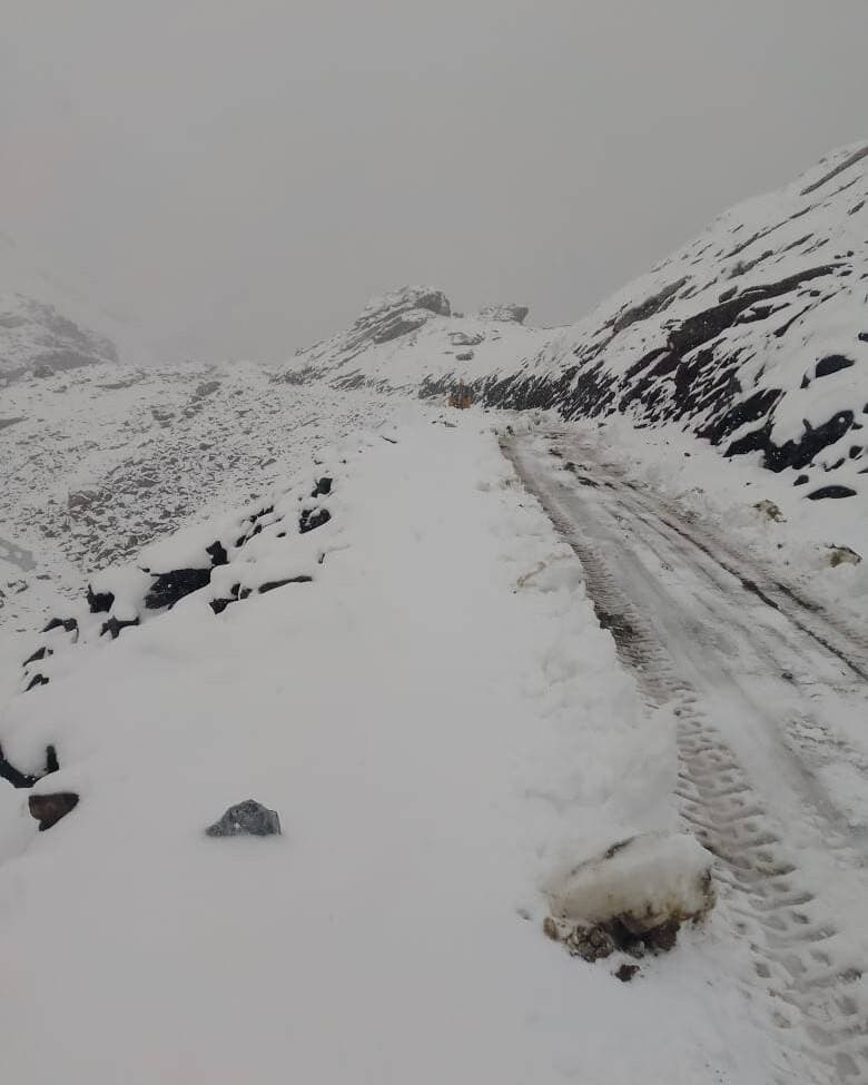बर्फ हटाने के बाद साच पास सड़क यातायात के लिए फिर से खोल दी गई है।
#snowfall #roadopen #viralpost