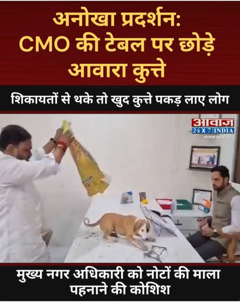 अनोखा प्रदर्शन: CMO की टेबल पर छोड़े आवारा कुत्ते, मुख्य नगर अधिकारी को नोटों की माला पहनाने की कोशिश! नासिक में आवारा कुत्तों का आतंक, प्रशासन को जगाने लोग पकड़ लाए ‘सबूत’!
#AwaazIndiaDigital #Maharashtra #Nasik #StreetDog #CMO #YuvaSena #VikramRandhave #ViralVideo #TrendingNews #ViralNews