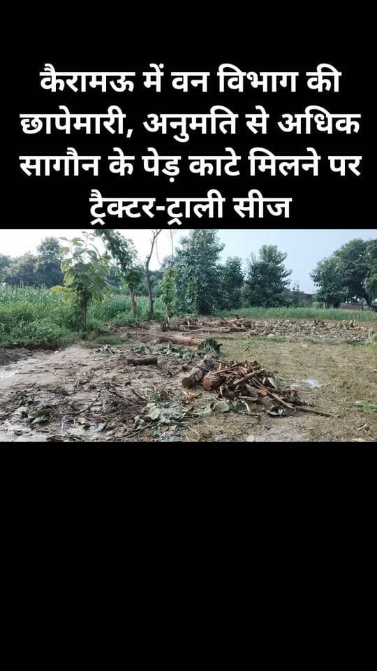 कैरामऊ में वन विभाग की छापेमारी, अनुमति से अधिक सागौन के पेड़ काटे मिलने पर ट्रैक्टर-ट्राली सीज। #forest #viral #follovar #kanpurdehatpol #facebookviral #hilightvideo