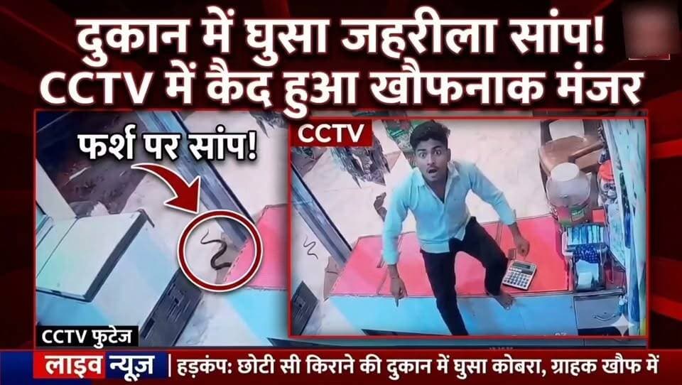 #टीकमगढ़ में साँप के डसने की लाइव वीडियो ,, टीकमगढ़ में साँप के डसने का लाइव वीडियो सामने आया है। युवक झांसी अस्पताल ले जाया गया, जहां उसका इलाज जारी बताया जा रहा है।